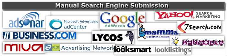 Manual Search Engine Submission SEO