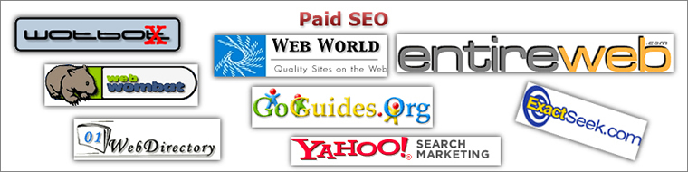 Paid SEO1 Shop Search Engines