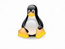 linuxlogo2 Security & System