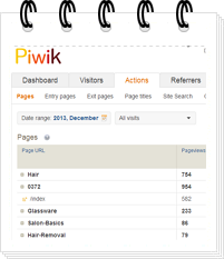 piwik analytic ecommerce dashbaord 01 Business Intelligence